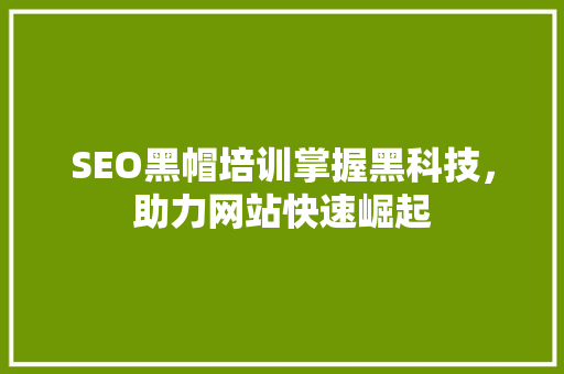SEO黑帽培训掌握黑科技，助力网站快速崛起