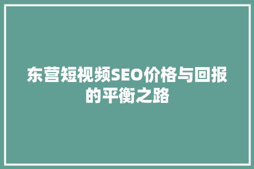 东营短视频SEO价格与回报的平衡之路