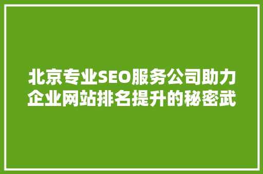 北京专业SEO服务公司助力企业网站排名提升的秘密武器
