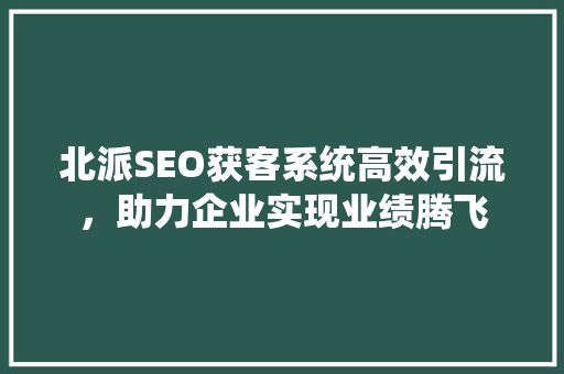 北派SEO获客系统高效引流，助力企业实现业绩腾飞