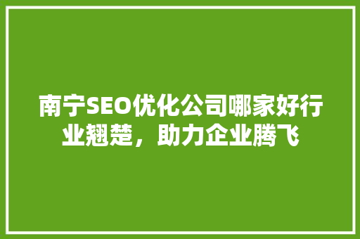 南宁SEO优化公司哪家好行业翘楚，助力企业腾飞