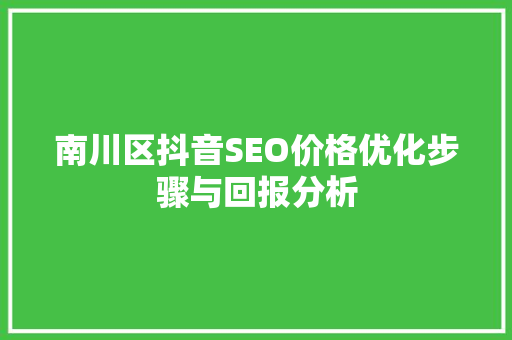 南川区抖音SEO价格优化步骤与回报分析