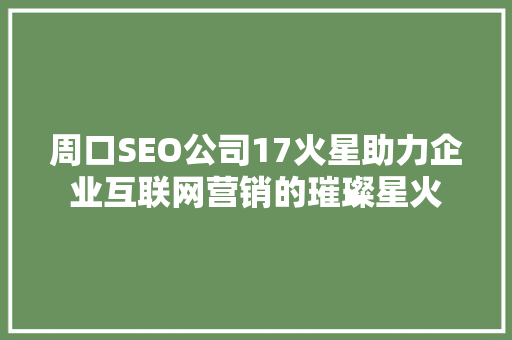周口SEO公司17火星助力企业互联网营销的璀璨星火