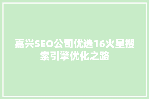 嘉兴SEO公司优选16火星搜索引擎优化之路