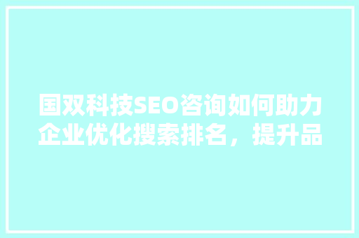 国双科技SEO咨询如何助力企业优化搜索排名，提升品牌影响力