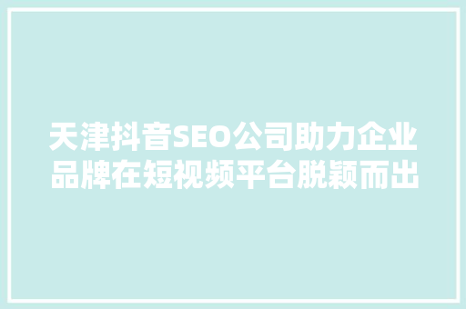 天津抖音SEO公司助力企业品牌在短视频平台脱颖而出