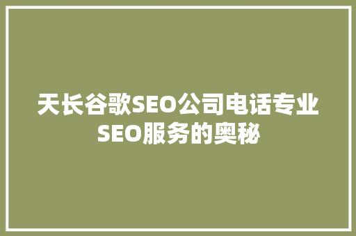天长谷歌SEO公司电话专业SEO服务的奥秘