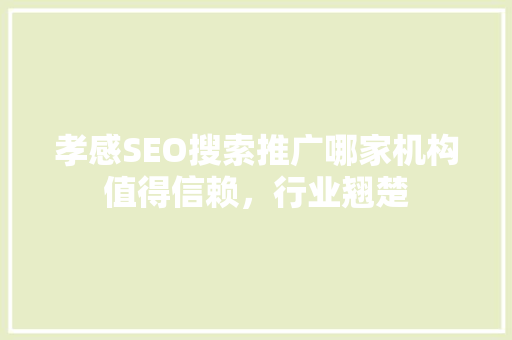 孝感SEO搜索推广哪家机构值得信赖，行业翘楚