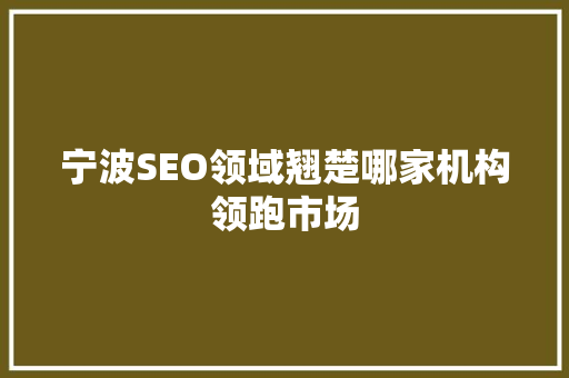 宁波SEO领域翘楚哪家机构领跑市场