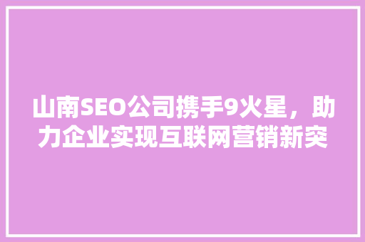 山南SEO公司携手9火星，助力企业实现互联网营销新突破