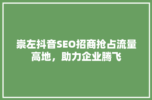 崇左抖音SEO招商抢占流量高地，助力企业腾飞