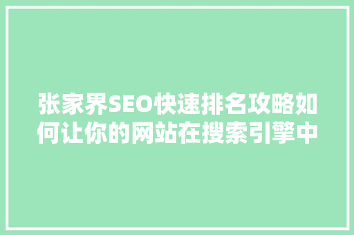 张家界SEO快速排名攻略如何让你的网站在搜索引擎中脱颖而出