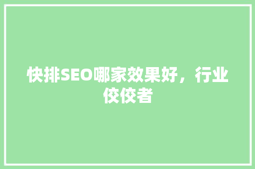 快排SEO哪家效果好，行业佼佼者