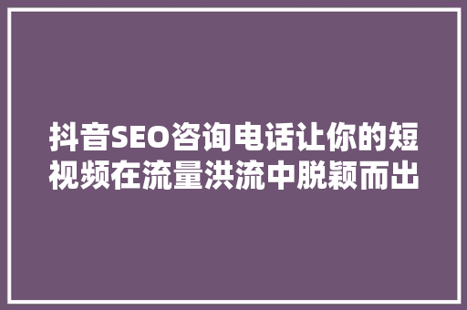 抖音SEO咨询电话让你的短视频在流量洪流中脱颖而出