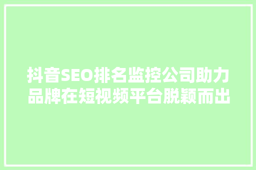 抖音SEO排名监控公司助力品牌在短视频平台脱颖而出