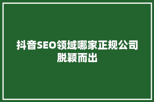 抖音SEO领域哪家正规公司脱颖而出