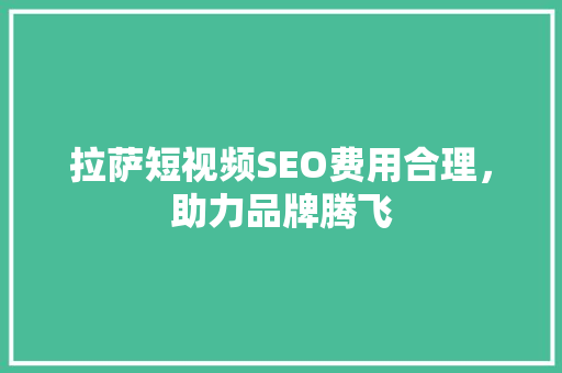 拉萨短视频SEO费用合理，助力品牌腾飞