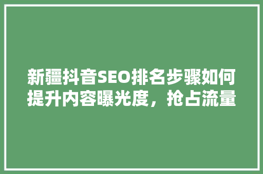 新疆抖音SEO排名步骤如何提升内容曝光度，抢占流量高地