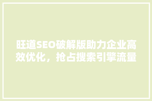 旺道SEO破解版助力企业高效优化，抢占搜索引擎流量高地