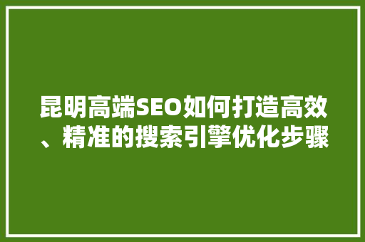 昆明高端SEO如何打造高效、精准的搜索引擎优化步骤