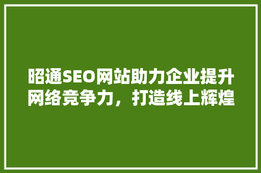 昭通SEO网站助力企业提升网络竞争力，打造线上辉煌
