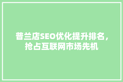 普兰店SEO优化提升排名，抢占互联网市场先机