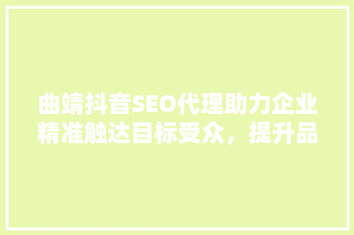 曲靖抖音SEO代理助力企业精准触达目标受众，提升品牌影响力