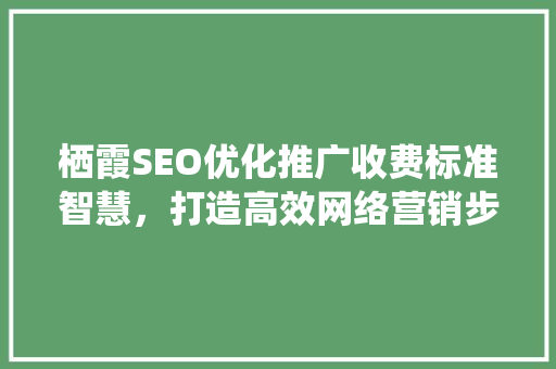 栖霞SEO优化推广收费标准智慧，打造高效网络营销步骤