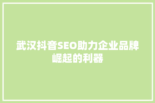 武汉抖音SEO助力企业品牌崛起的利器