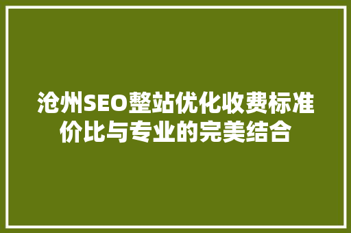 沧州SEO整站优化收费标准价比与专业的完美结合