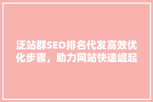 泛站群SEO排名代发高效优化步骤，助力网站快速崛起