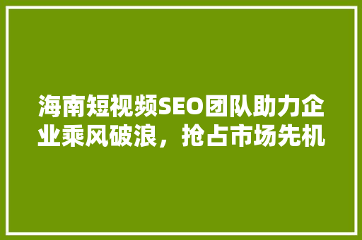 海南短视频SEO团队助力企业乘风破浪，抢占市场先机
