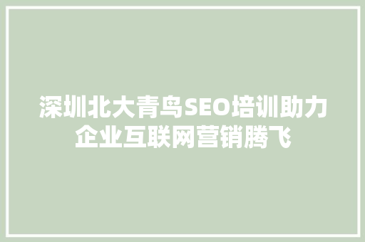 深圳北大青鸟SEO培训助力企业互联网营销腾飞