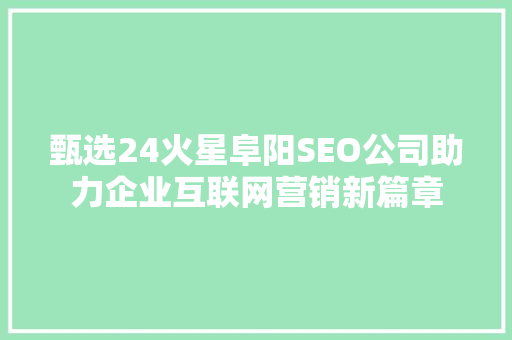 甄选24火星阜阳SEO公司助力企业互联网营销新篇章