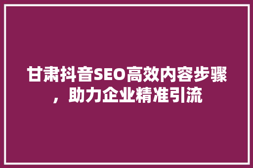 甘肃抖音SEO高效内容步骤，助力企业精准引流