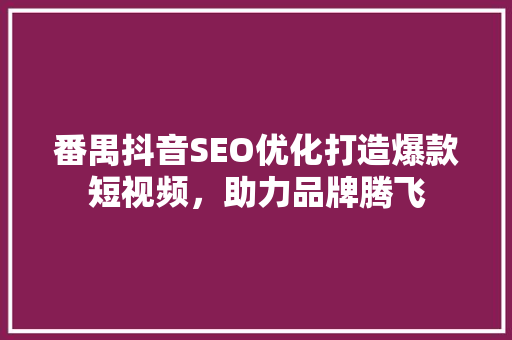 番禺抖音SEO优化打造爆款短视频，助力品牌腾飞