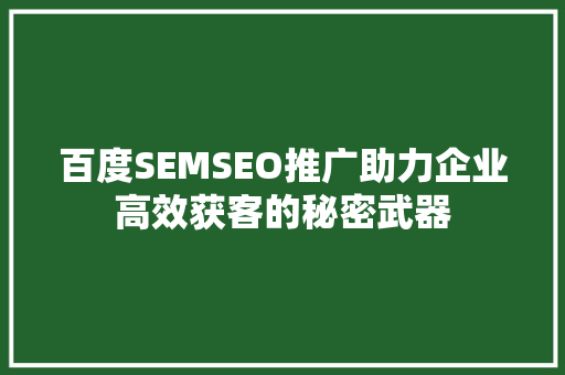 百度SEMSEO推广助力企业高效获客的秘密武器