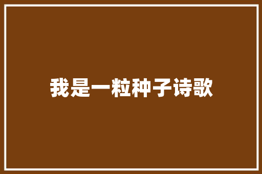 先科手机引领科技潮流，塑造智能生活新风尚
