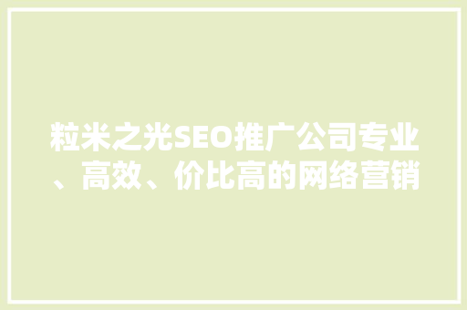 粒米之光SEO推广公司专业、高效、价比高的网络营销解决方法