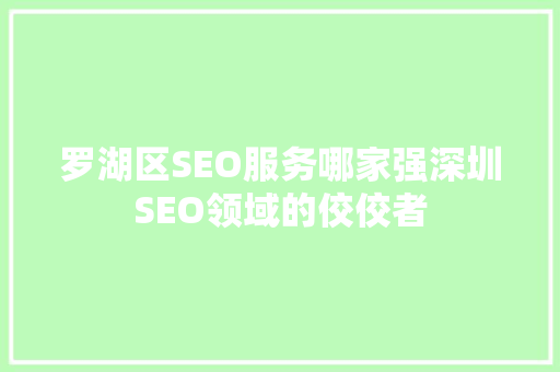 罗湖区SEO服务哪家强深圳SEO领域的佼佼者