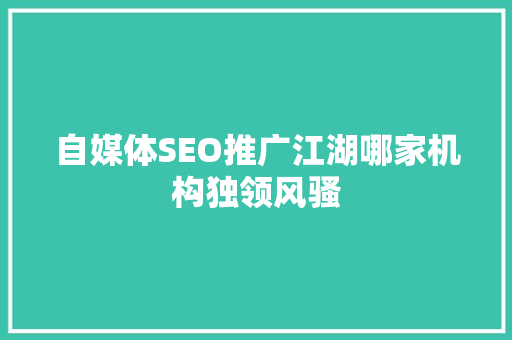 自媒体SEO推广江湖哪家机构独领风骚