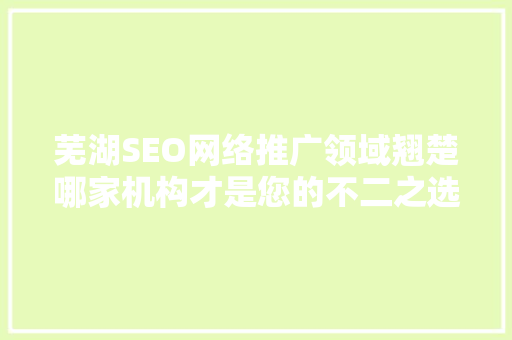 芜湖SEO网络推广领域翘楚哪家机构才是您的不二之选