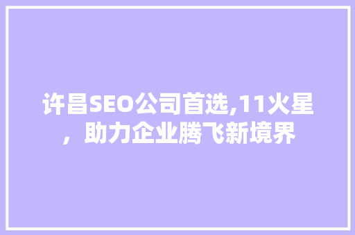 许昌SEO公司首选,11火星，助力企业腾飞新境界