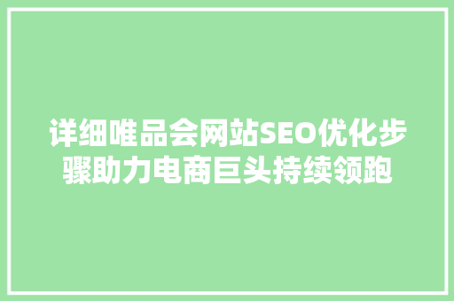 详细唯品会网站SEO优化步骤助力电商巨头持续领跑