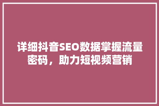 详细抖音SEO数据掌握流量密码，助力短视频营销