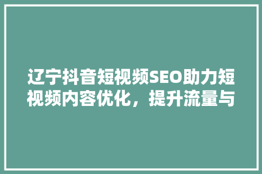 辽宁抖音短视频SEO助力短视频内容优化，提升流量与影响力