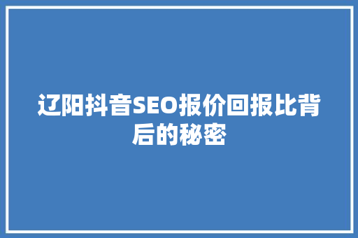 辽阳抖音SEO报价回报比背后的秘密