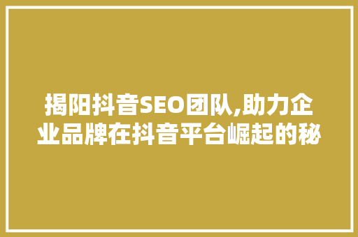 揭阳抖音SEO团队,助力企业品牌在抖音平台崛起的秘密武器
