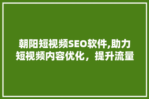 朝阳短视频SEO软件,助力短视频内容优化，提升流量曝光