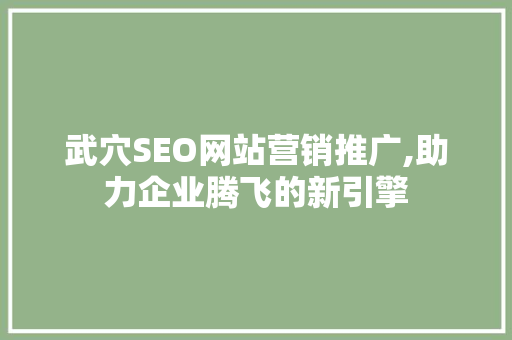 武穴SEO网站营销推广,助力企业腾飞的新引擎